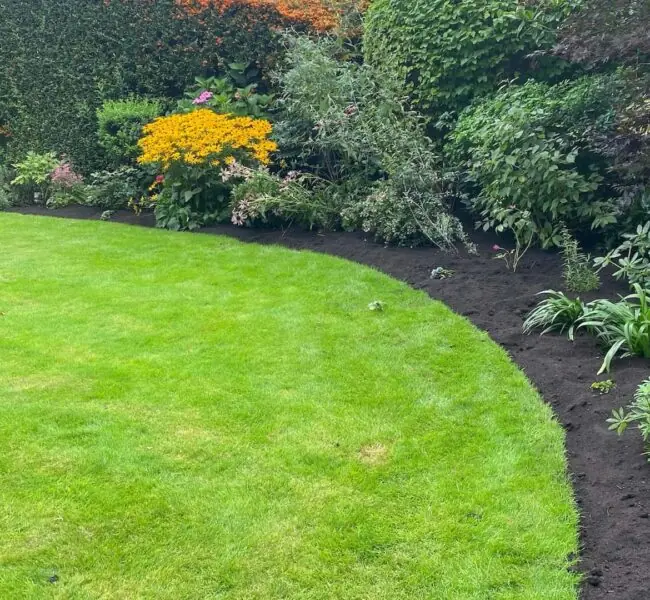 Vibrant flower beds with freshly planted seasonal flowers and shrubs in Lea Valley.