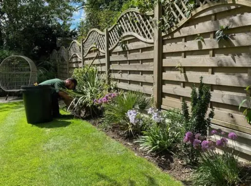 Freshly planted flower beds with vibrant seasonal plants in Lea Valley, professionally arranged for a lush garden.